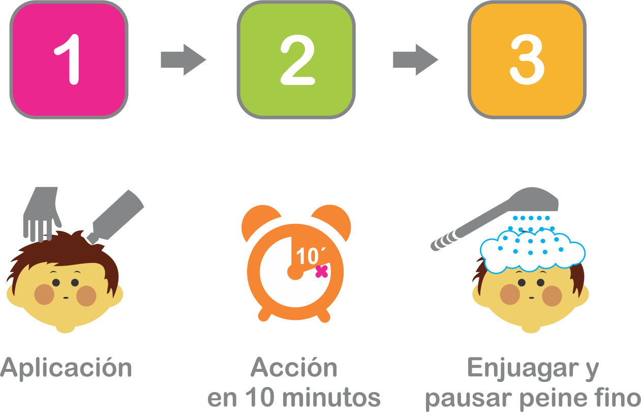 ¡Ahora es más fácil! xpel proceso